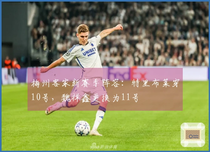 梅州客家新赛季阵容：特里布莱穿10号，魏祥鑫更换为11号